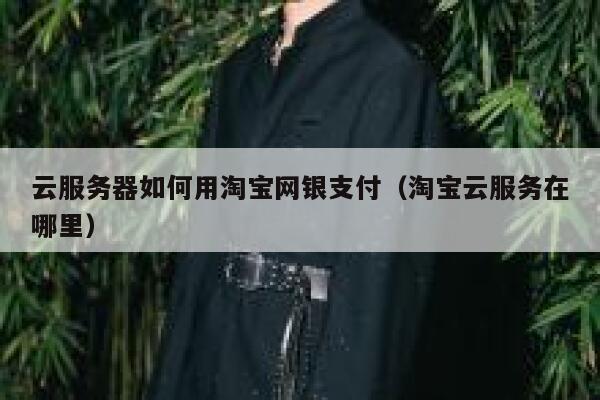 云服务器如何用淘宝网银支付（淘宝云服务在哪里） 第1张