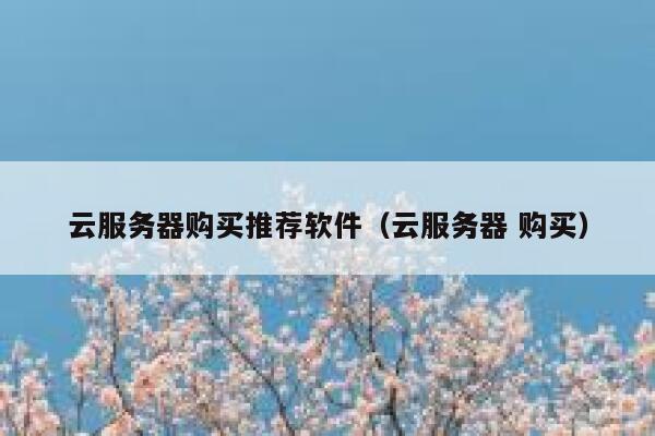 云服务器购买推荐软件(云服务器 购买) 第1张 云服务器购买推荐软件(云服务器 购买) 第1张