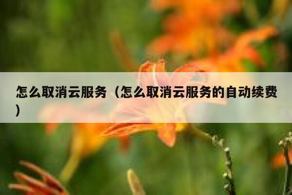 怎么取消云服务（怎么取消云服务的自动续费） 第1张