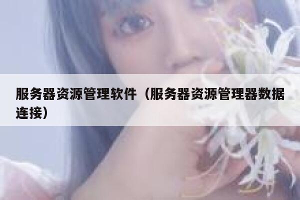 服务器资源管理软件（服务器资源管理器数据连接） 第1张