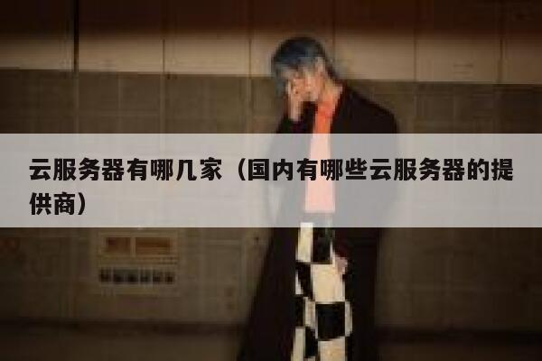 云服务器有哪几家（国内有哪些云服务器的提供商） 第1张