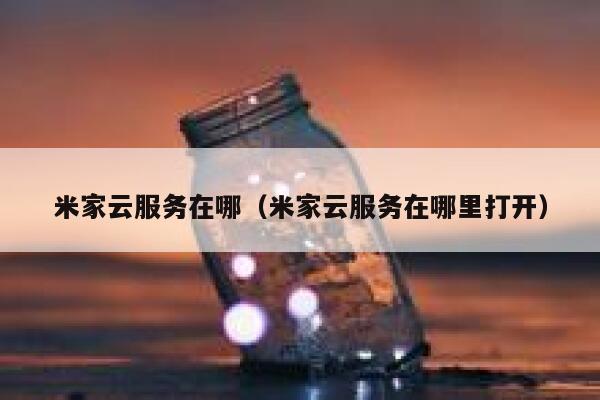 米家云服务在哪（米家云服务在哪里打开） 第1张