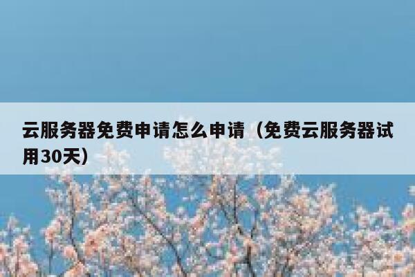 云服务器免费申请怎么申请（免费云服务器试用30天） 第1张