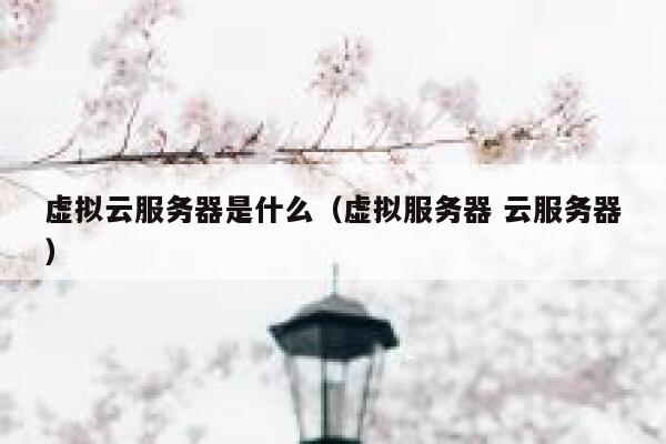 虚拟云服务器是什么（虚拟服务器 云服务器） 第1张