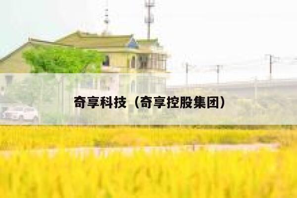 奇享科技（奇享控股集团） 第1张