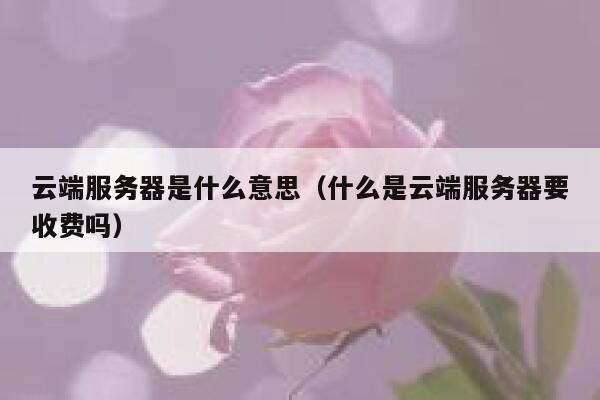 云端服务器是什么意思（什么是云端服务器要收费吗） 第1张