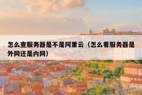 怎么查服务器是不是阿里云（怎么看服务器是外网还是内网） 第1张
