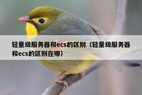 轻量级服务器和ecs的区别（轻量级服务器和ecs的区别在哪） 第1张