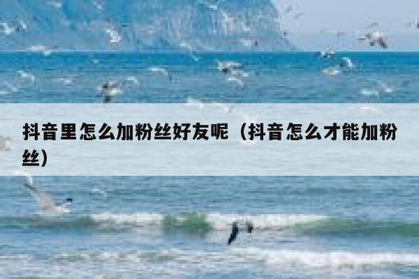 抖音里怎么加粉丝好友呢（抖音怎么才能加粉丝） 第1张