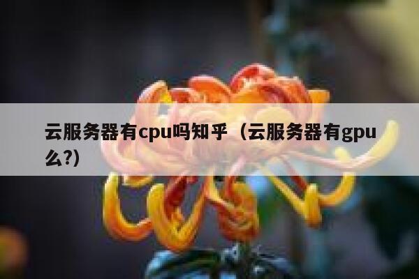 云服务器有cpu吗知乎（云服务器有gpu么?） 第1张