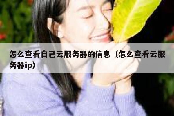 怎么查看自己云服务器的信息（怎么查看云服务器ip） 第1张