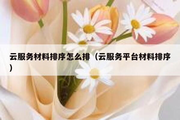 云服务材料排序怎么排（云服务平台材料排序） 第1张