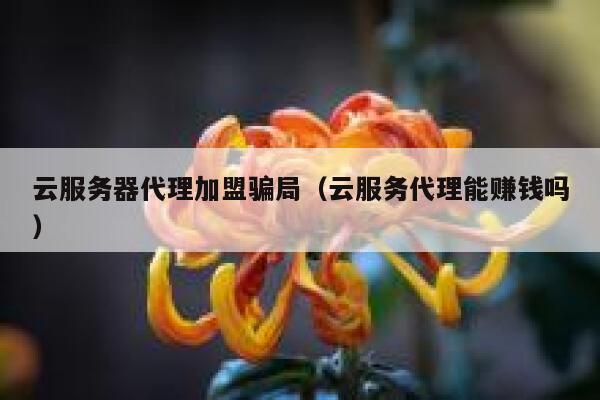 云服务器代理加盟骗局（云服务代理能赚钱吗） 第1张