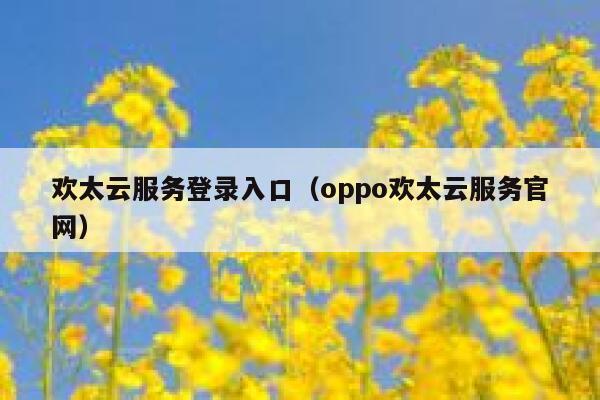 欢太云服务登录入口（oppo欢太云服务官网） 第1张