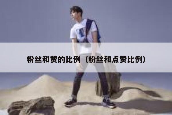 粉丝和赞的比例（粉丝和点赞比例） 第1张