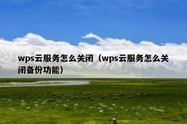 wps云服务怎么关闭（wps云服务怎么关闭备份功能） 第1张