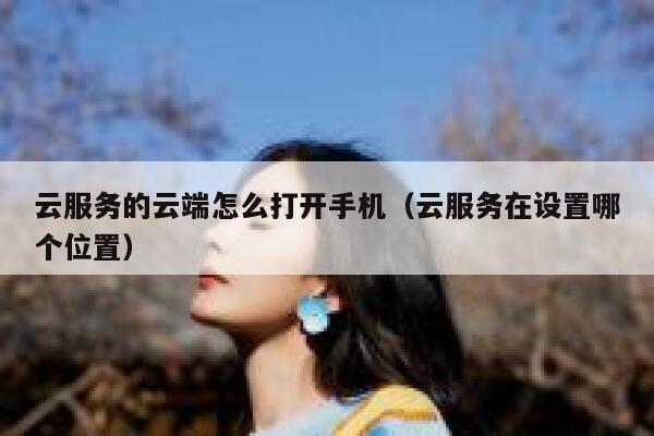 云服务的云端怎么打开手机（云服务在设置哪个位置） 第1张