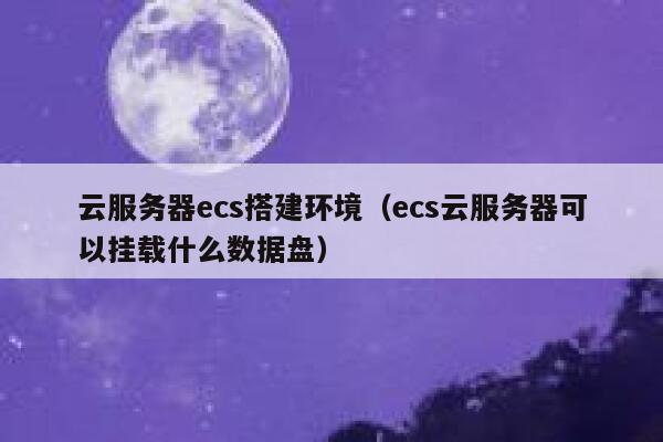 云服务器ecs搭建环境(ecs云服务器可以挂载什么数据盘) 第1张 云服务器ecs搭建环境(ecs云服务器可以挂载什么数据盘) 第1张
