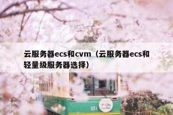云服务器ecs和cvm(云服务器ecs和轻量级服务器选择) 第1张 云服务器ecs和cvm(云服务器ecs和轻量级服务器选择) 第1张
