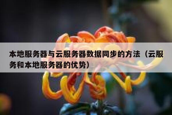 本地服务器与云服务器数据同步的方法（云服务和本地服务器的优势） 第1张