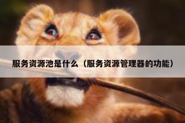 服务资源池是什么(服务资源管理器的功能) 第1张 服务资源池是什么(服务资源管理器的功能) 第1张
