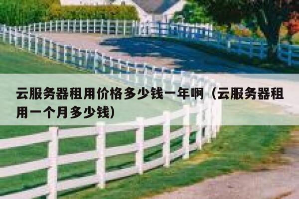 云服务器租用价格多少钱一年啊(云服务器租用一个月多少钱) 第1张 云服务器租用价格多少钱一年啊(云服务器租用一个月多少钱) 第1张