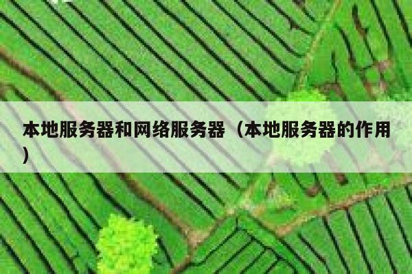 本地服务器和网络服务器（本地服务器的作用） 第1张