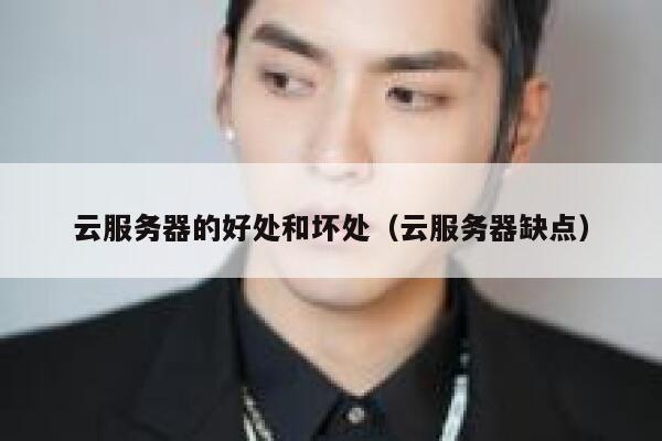 云服务器的好处和坏处（云服务器缺点） 第1张
