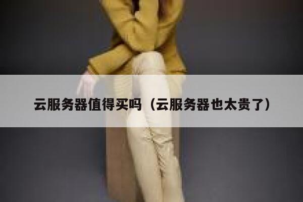 云服务器值得买吗（云服务器也太贵了） 第1张