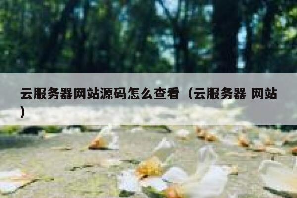 云服务器网站源码怎么查看(云服务器 网站) 第1张 云服务器网站源码怎么查看(云服务器 网站) 第1张