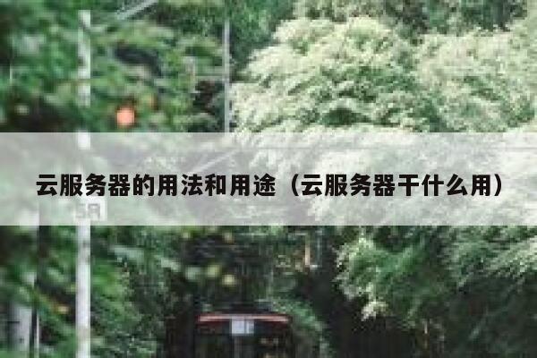 云服务器的用法和用途（云服务器干什么用） 第1张
