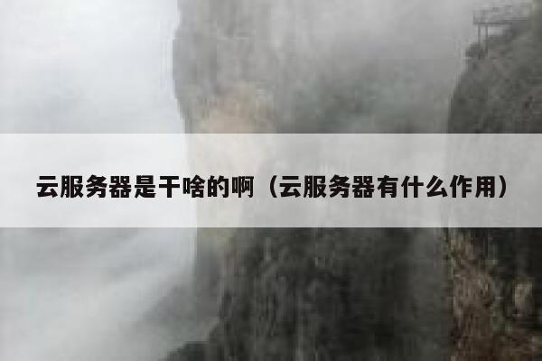 云服务器是干啥的啊（云服务器有什么作用） 第1张