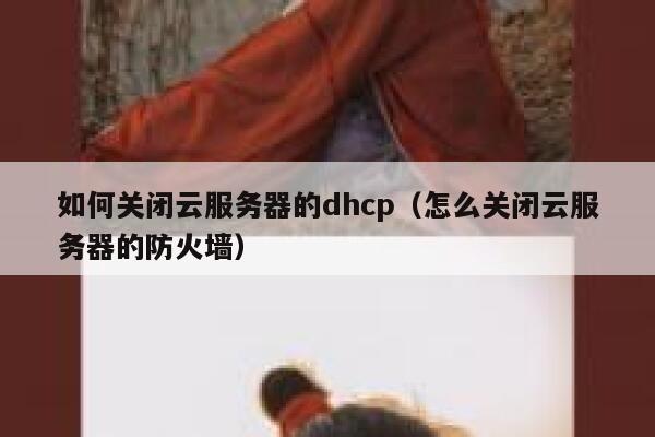 如何关闭云服务器的dhcp(怎么关闭云服务器的防火墙) 第1张 如何关闭云服务器的dhcp(怎么关闭云服务器的防火墙) 第1张