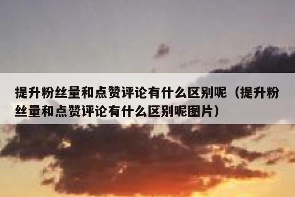 提升粉丝量和点赞评论有什么区别呢(提升粉丝量和点赞评论有什么区别呢图片) 第1张 提升粉丝量和点赞评论有什么区别呢(提升粉丝量和点赞评论有什么区别呢图片) 第1张