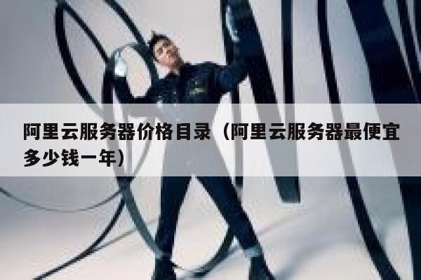 阿里云服务器价格目录(阿里云服务器最便宜多少钱一年) 第1张 阿里云服务器价格目录(阿里云服务器最便宜多少钱一年) 第1张