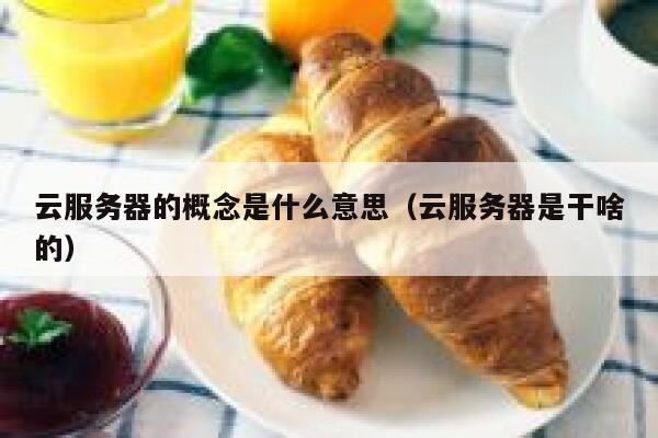 云服务器的概念是什么意思（云服务器是干啥的） 第1张