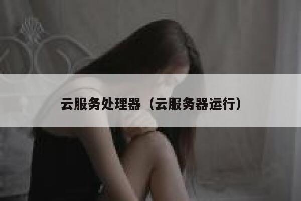 云服务处理器(云服务器运行) 第1张 云服务处理器(云服务器运行) 第1张