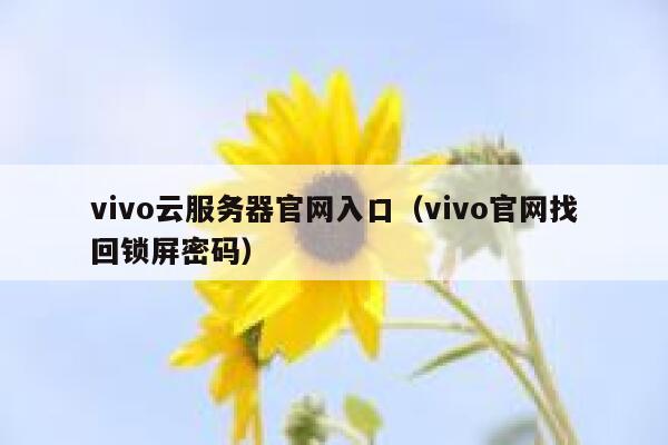 vivo云服务器官网入口（vivo官网找回锁屏密码） 第1张