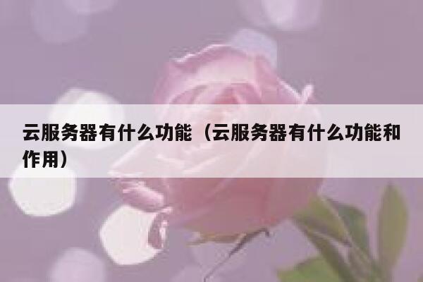 云服务器有什么功能(云服务器有什么功能和作用) 第1张 云服务器有什么功能(云服务器有什么功能和作用) 第1张