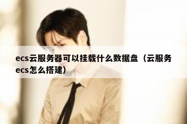 ecs云服务器可以挂载什么数据盘（云服务ecs怎么搭建） 第1张