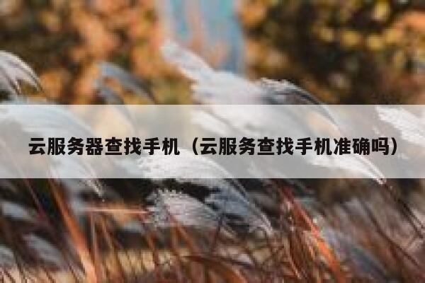 云服务器查找手机(云服务查找手机准确吗) 第1张 云服务器查找手机(云服务查找手机准确吗) 第1张