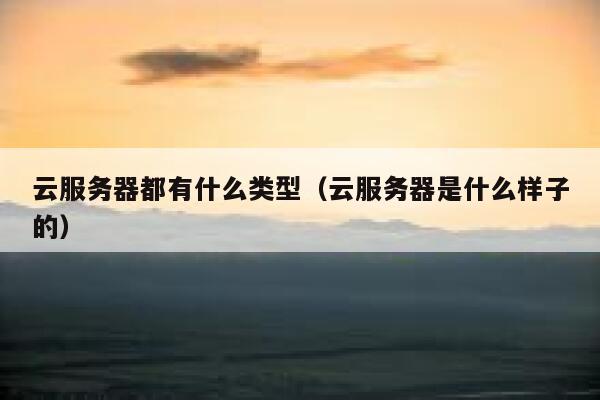 云服务器都有什么类型(云服务器是什么样子的) 第1张 云服务器都有什么类型(云服务器是什么样子的) 第1张