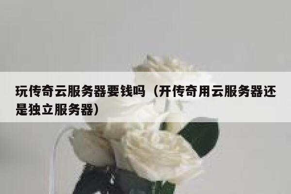 玩传奇云服务器要钱吗（开传奇用云服务器还是独立服务器） 第1张