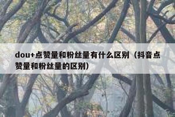 dou+点赞量和粉丝量有什么区别(抖音点赞量和粉丝量的区别) 第1张 dou+点赞量和粉丝量有什么区别(抖音点赞量和粉丝量的区别) 第1张