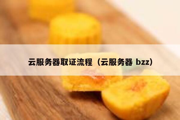 云服务器取证流程（云服务器 bzz） 第1张