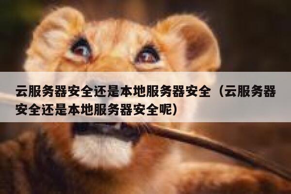 云服务器安全还是本地服务器安全（云服务器安全还是本地服务器安全呢） 第1张