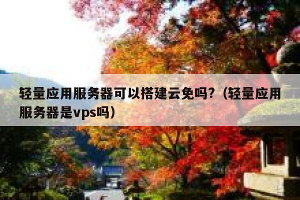 轻量应用服务器可以搭建云免吗?（轻量应用服务器是vps吗） 第1张