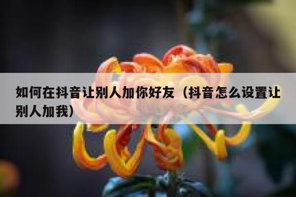 如何在抖音让别人加你好友(抖音怎么设置让别人加我) 第1张 如何在抖音让别人加你好友(抖音怎么设置让别人加我) 第1张