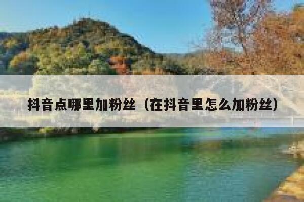 抖音点哪里加粉丝（在抖音里怎么加粉丝） 第1张