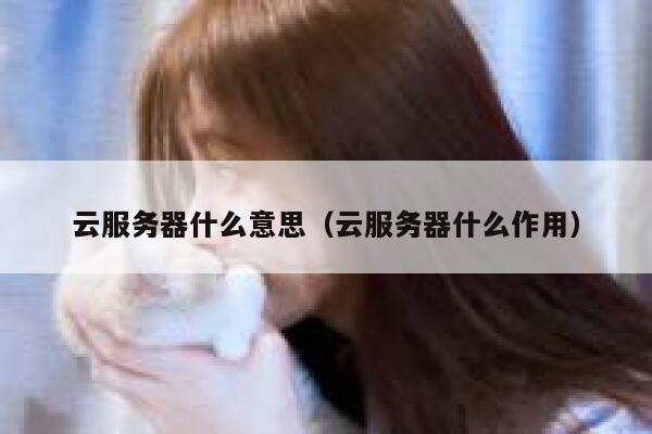 云服务器什么意思（云服务器什么作用） 第1张